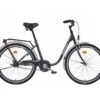 Liberty Classic 26" 1spd