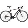GIANT CONTEND 1 2022