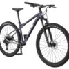 GT AVALANCHE 29" Expert (G27101M20/PUR)