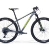 Merida BIG.NINE NX EDITION tmavostrieborný(zelený) 2023