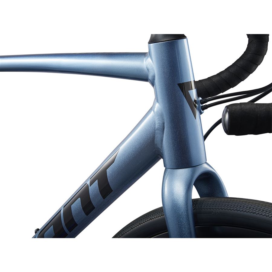 Contend AR 1 1 Giant Contend AR 1