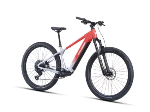Crussis e-Fionna AX 10.12-M2S 800 Wh 2027 – 2