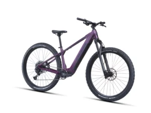 Crussis e-Fionna AX 9.12-M2S 800 Wh 2027 – 2